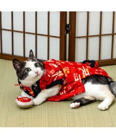 PET PARADISE ペットパラダイス 半纏 《千鳥柄》 小型犬