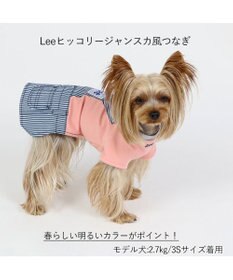 PET PARADISE 犬の服 犬 服 秋冬 Ｌｅｅ スカート つなぎ 【小型犬】 ヒッコリー
