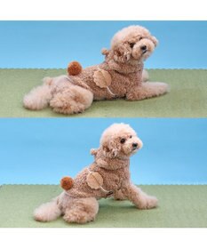 PET PARADISE ペットパラダイス なりきりくま 小型犬