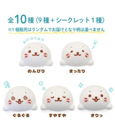 Mother garden しろたん フェイス マグネットコレクション 10個全部セット