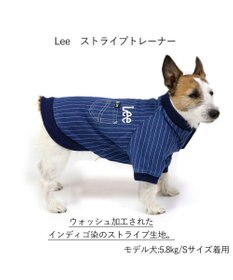 PET PARADISE 犬の服 犬 冬服 トレーナー Lee【小型犬】 ストライプ