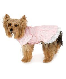 PET PARADISE ペットパラダイス レース バルーン ワンピース 《ピンク》 小型犬