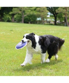 PET PARADISE ペットパラダイス 水に浮く フライングディスク