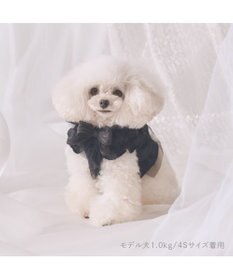 PET PARADISE cherircouture フリフリハーネス 《ブラック》 小型犬 ＳＳ
