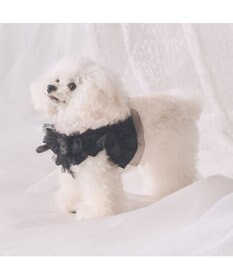 PET PARADISE cherircouture フリフリハーネス 《ブラック》 小型犬 ＳＳ