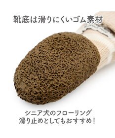 PET PARADISE ペットパラダイス くまちゃん スリットシューズ ３Ｓ