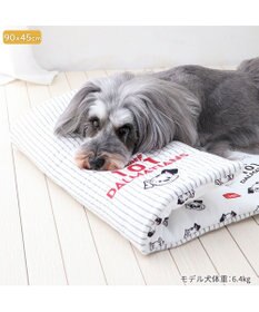 PET PARADISE ディズニー 101匹わんちゃん クールロールマット 小型犬