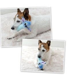 PET PARADISE ディズニー スティッチ ダンベル トイ