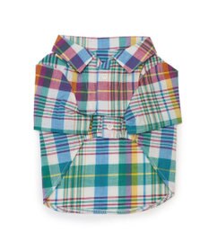 PET PARADISE J.PRESS マドラスチェック シャツ 小型犬