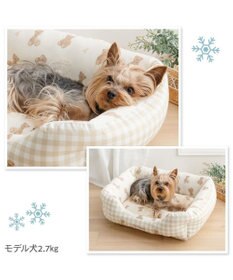 PET PARADISE ペットパラダイス くまさん クールカドラー 《アイス柄》Ｍ