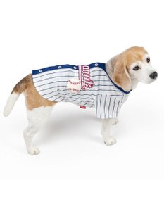 PET PARADISE スヌーピー ベースボールＴシャツ 中型犬 大型犬