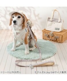 PET PARADISE ペットパラダイス くまチャームリード ＳＭ