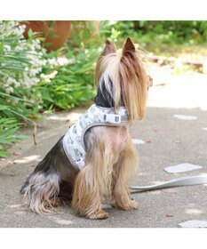 PET PARADISE ディズニー 101匹わんちゃん 保冷剤ポケット付き ハーネス Ｓ 小型犬