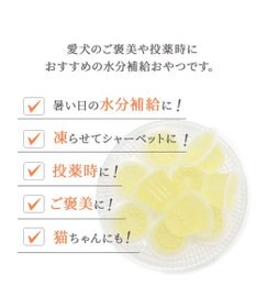 PET PARADISE 【賞味期限が12/29のため 半額】りんごゼリー 10個入り 国産