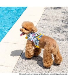 PET PARADISE ミニオン クールベスト 《アイス柄》 小型犬