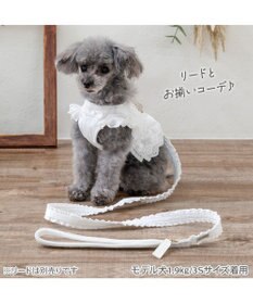 PET PARADISE ペットパラダイス コットンフリル ベストハーネス ４Ｓ/３Ｓ