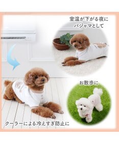 PET PARADISE ペットパラダイス サーモキープ Tシャツ 《チェリー》 中型犬 大型犬