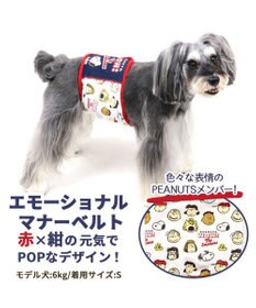 PET PARADISE スヌーピー マナーベルト 《エモーショナル》【小型犬】