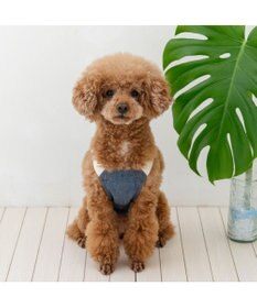 PET PARADISE ペットパラダイス ポケットクール ベスト 《オーバーオール風》 小型犬