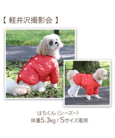 ペットパラダイス　Lee ブルゾン　ジャケット　DSS ★タグ付き試着のみ★ Lee スタジャン 小型犬 / PET PARADISE | 【通販】雑貨とペット