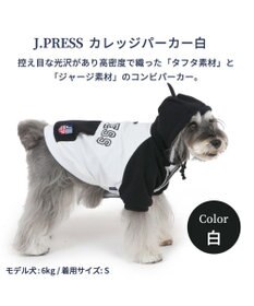 PET PARADISE 犬 服 J.PRESS パーカー  【小型犬】 カレッジ 白