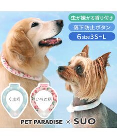 PET PARADISE ペットパラダイス 28℃クールリング SUO 《くま柄》 〔Ｌ〕 大型犬