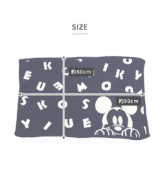 PET PARADISE ディズニー ミッキーマウス 遠赤外線 ブランケット 《ロゴ柄》 90×60cm