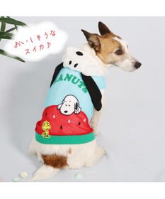 PET PARADISE 犬の服 春夏 スヌーピー スイカ メッシュ パーカー 【小型犬】