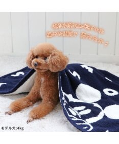 ディズニー ミッキーマウス 遠赤外線 ブランケット 《ロゴ柄