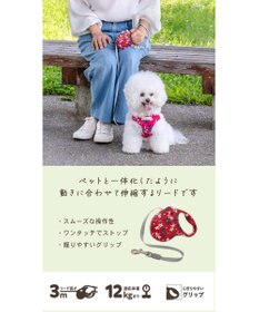 PET PARADISE リサとガスパール 伸縮リード 《パリ柄》