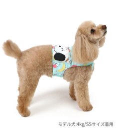 PET PARADISE スヌーピー クールベスト 《果物柄》 小型犬