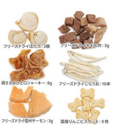 PET PARADISE クリスマス アドベントカレンダー 2026年 おやつ 国産