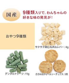 PET PARADISE クリスマス アドベントカレンダー 2026年 おやつ 国産