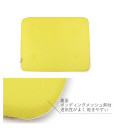 PET PARADISE ディズニー プルート もちっと クールマット