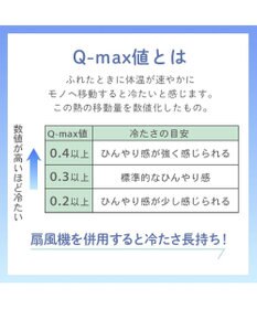 PET PARADISE ディズニー プルート もちっと クールマット