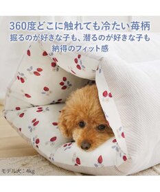 PET PARADISE ペットパラダイス クール トンネルカドラー 《苺花柄》