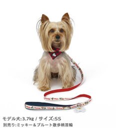 PET PARADISE ディズニー ミッキーマウス プルート 散歩柄 リード 【SS~S】 小型犬