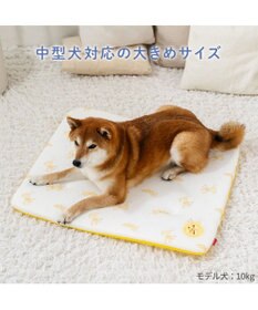 PET PARADISE ディズニー プルート もちっと クールマット