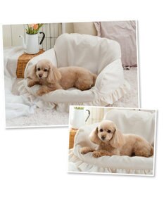 ペットパラダイス　ペット用ベッド　新品未使用タグ付 ペットパラダイス ペット 木製ベッド 小型犬 / PET PARADISE