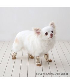 PET PARADISE ペットパラダイス makokoro スリット 靴下  《ボーダー》  ＳＳ 小型犬