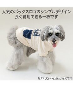 PET PARADISE Lee ボックスロゴ トレーナー ホワイト 小型犬
