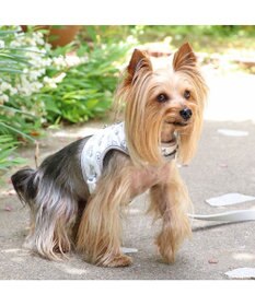 PET PARADISE ディズニー 101匹わんちゃん  保冷剤ポケット付き ハーネス ＳＳ 小型犬