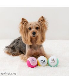 PET PARADISE ペットパラダイス テニスボール トイ ３個セット