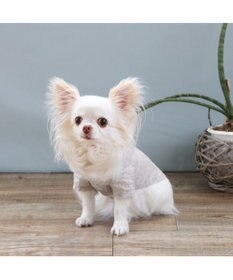 PET PARADISE J.PRESS 杢 ウェーブシャツ 《グレー》 小型犬