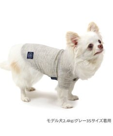 PET PARADISE J.PRESS 杢 ウェーブシャツ 《グレー》 小型犬