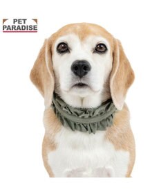 PET PARADISE ペットパラダイス ペタルオリーブ首輪 Ｍ