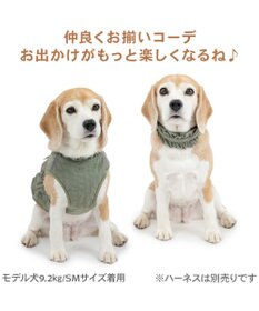 PET PARADISE ペットパラダイス ペタルオリーブ首輪 Ｍ