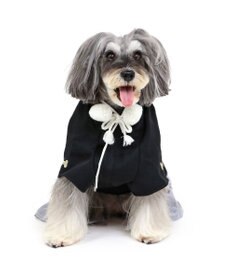 PET PARADISE ペットパラダイス 紋付袴 《シルバー》 小型犬