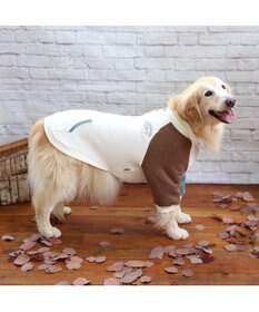 PET PARADISE ペットパラダイス ワンダフルストレッチ フリース トレーナー 《クレイジーカラー 》中型犬 大型犬