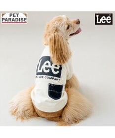 PET PARADISE Lee ボックスロゴ トレーナー ホワイト 中型犬 大型犬